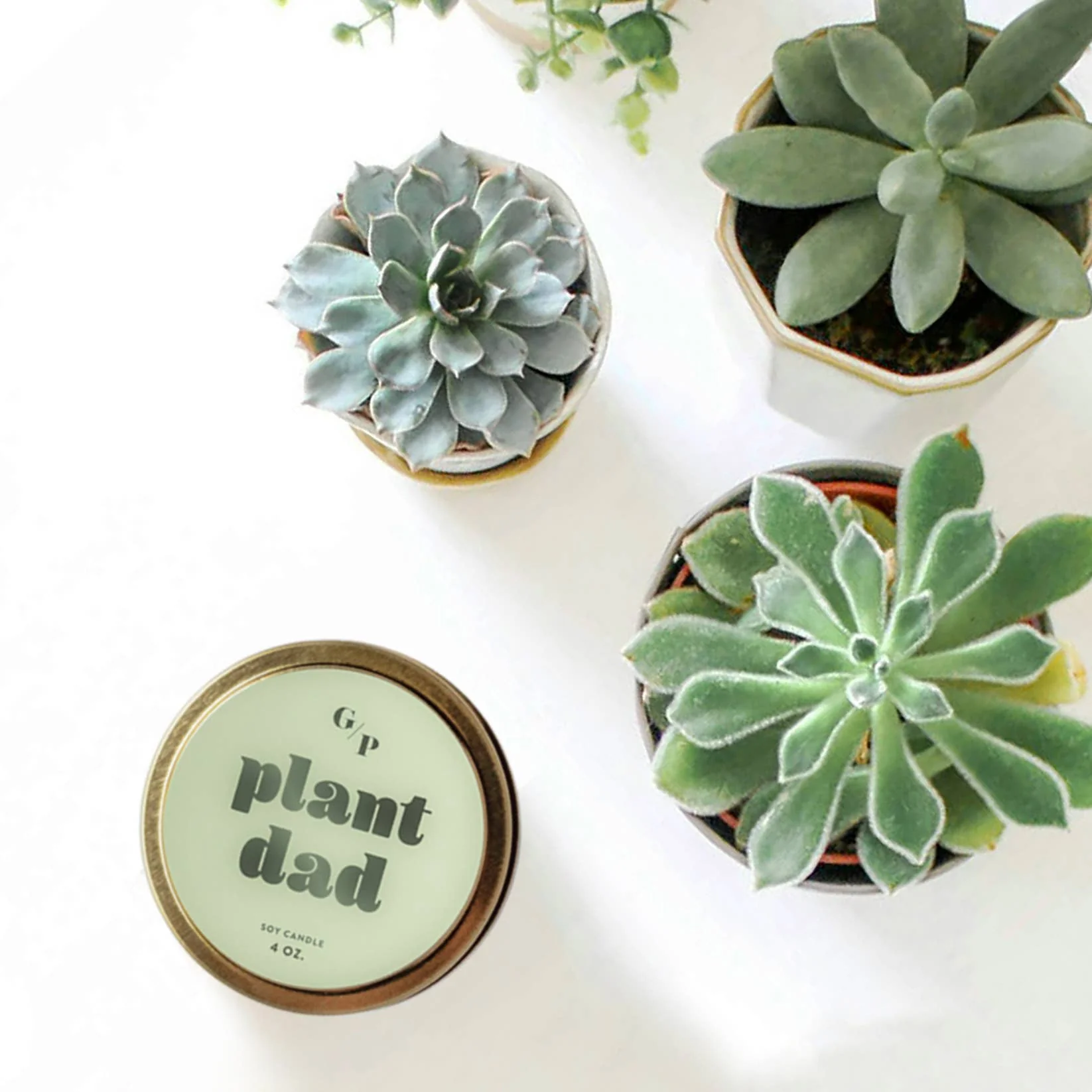 Plant Dad 4 oz. Candle Tin - Image 3